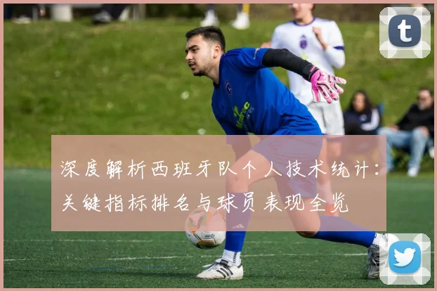 深度解析西班牙队个人技术统计：关键指标排名与球员表现全览